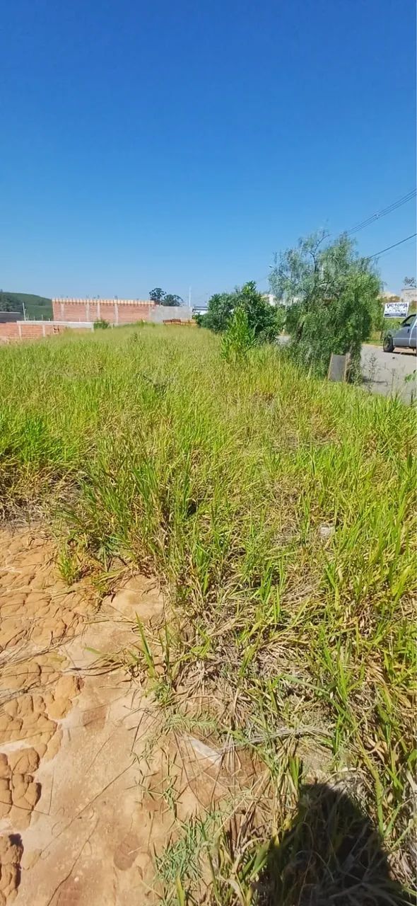 Terreno  - Foto 2