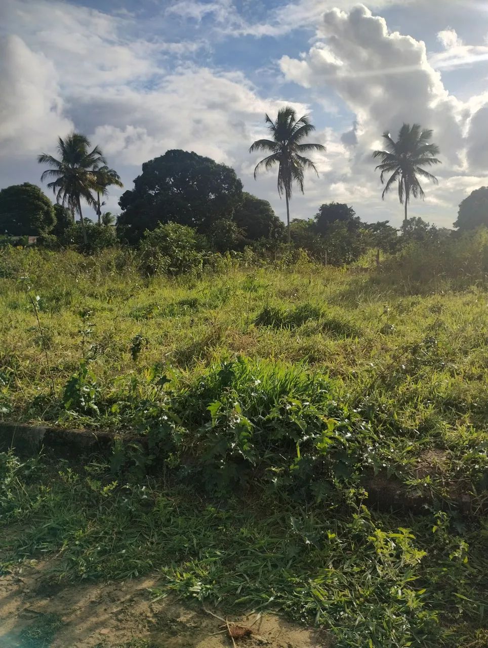 Lotes em área fechada - Foto 3