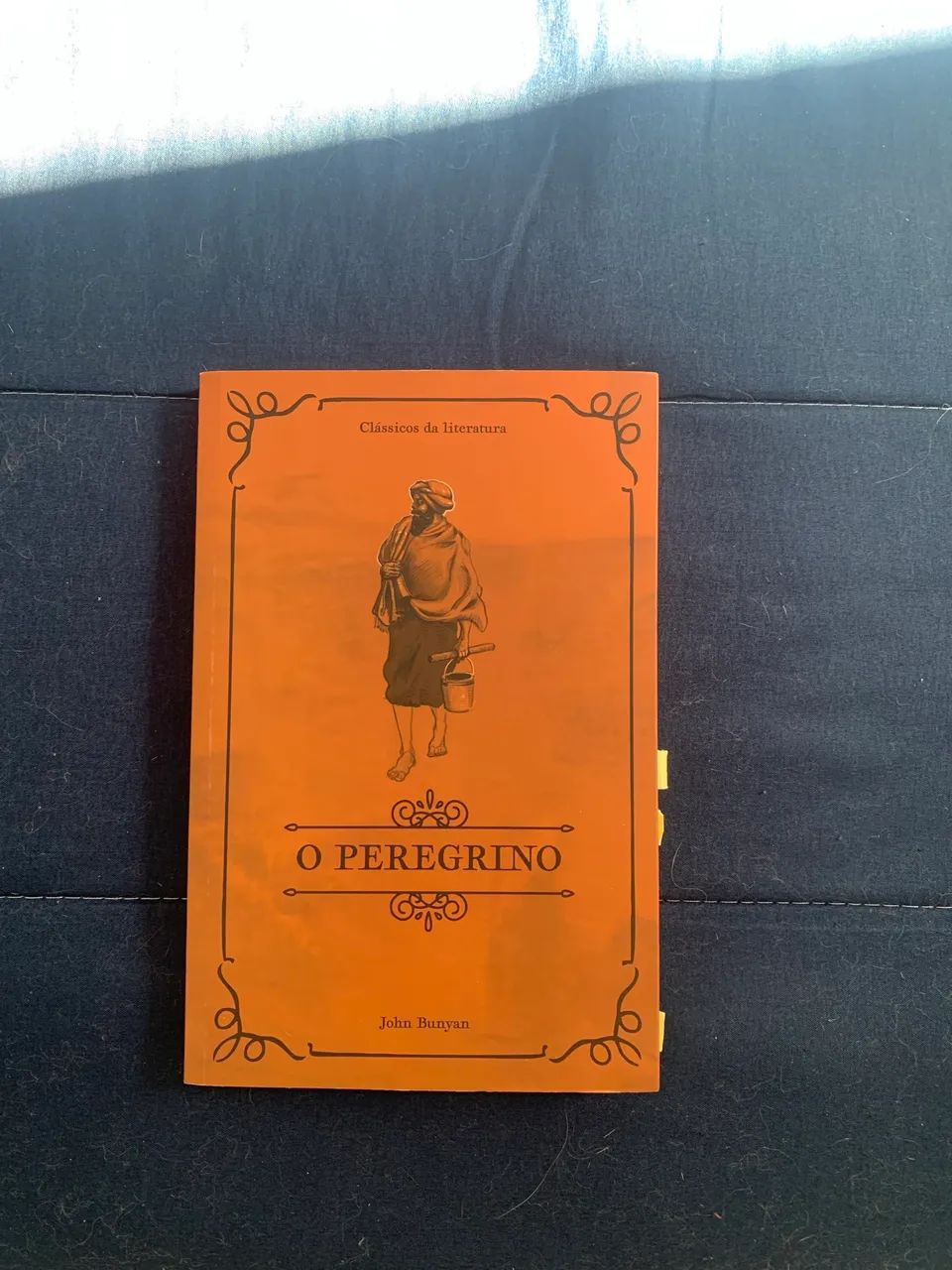 Livro - O peregrino