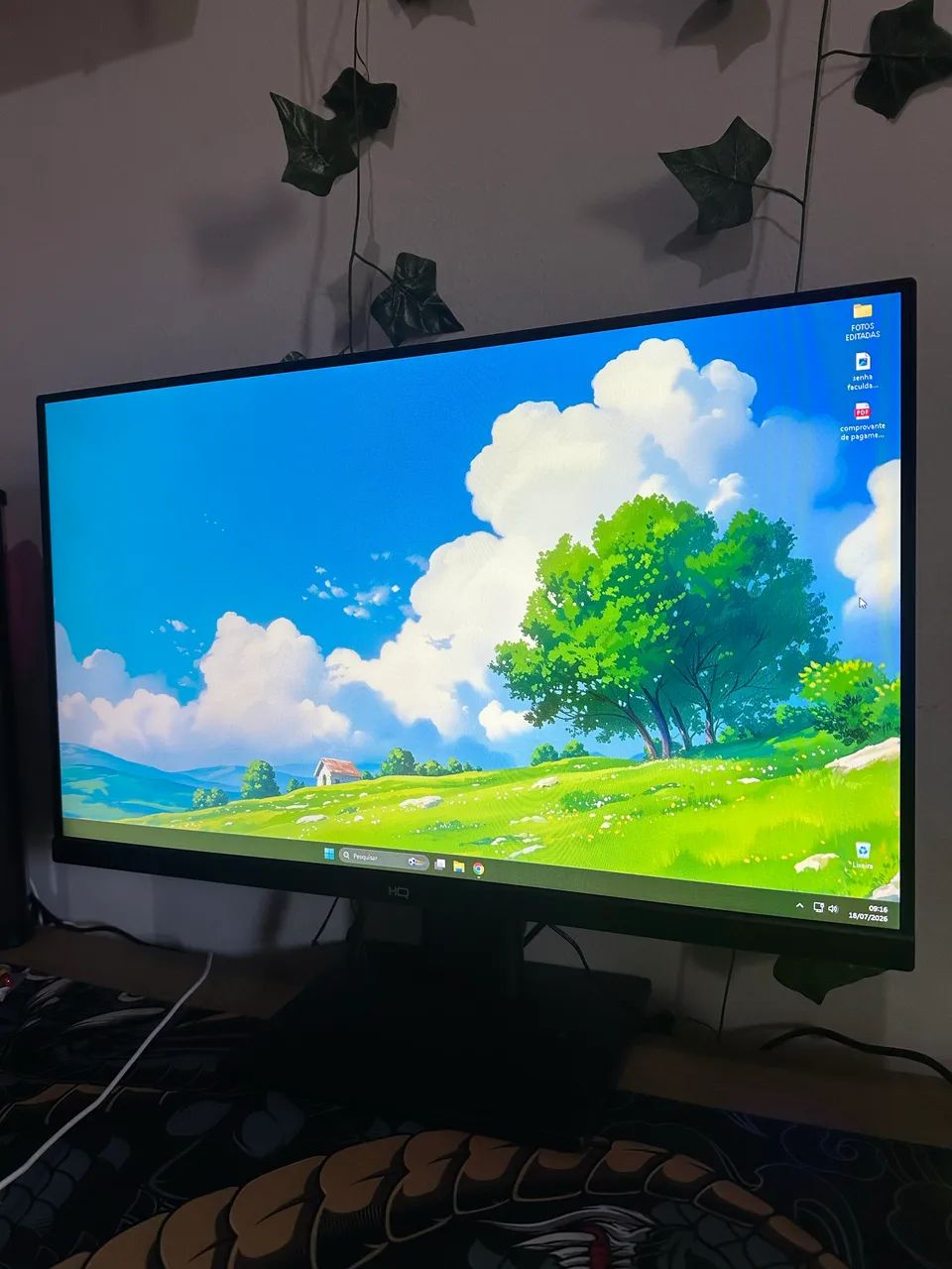 MONITOR HQ 24? 75hz