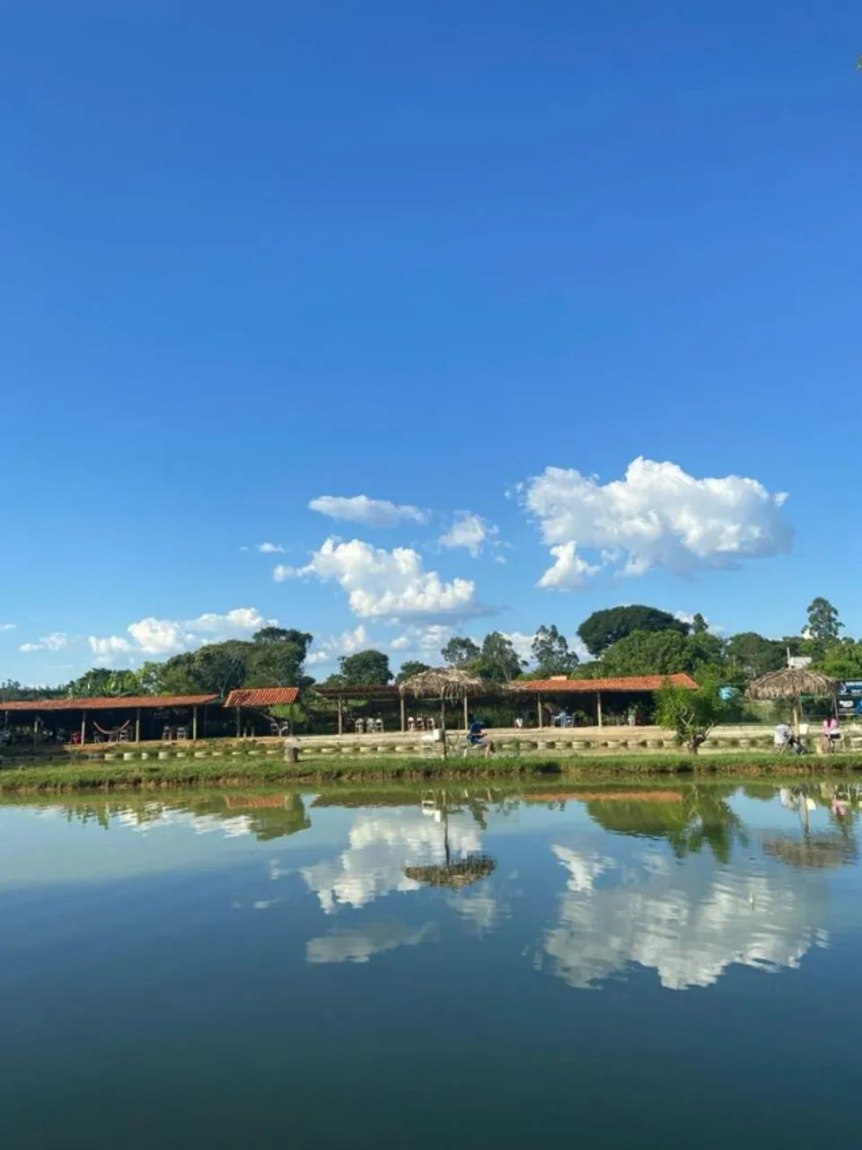Chacara a venda com 3 hectares de propriedade - Foto 4