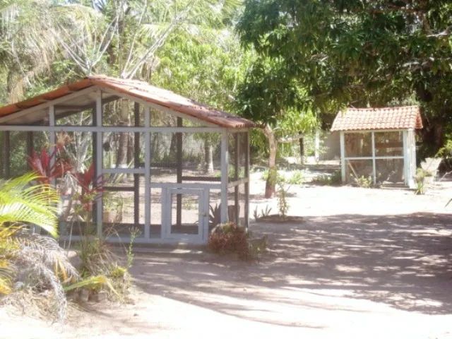Vende-se Sítio em Ceará-Mirim - 2 hectares - Foto 2