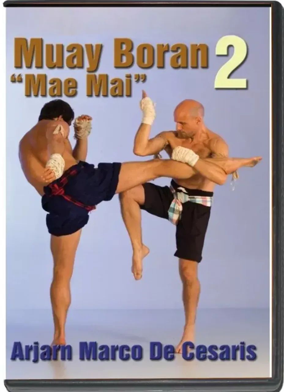 CURSO AVANÇADO DE MUAY THAI C/CERTIFICADO - Foto 6