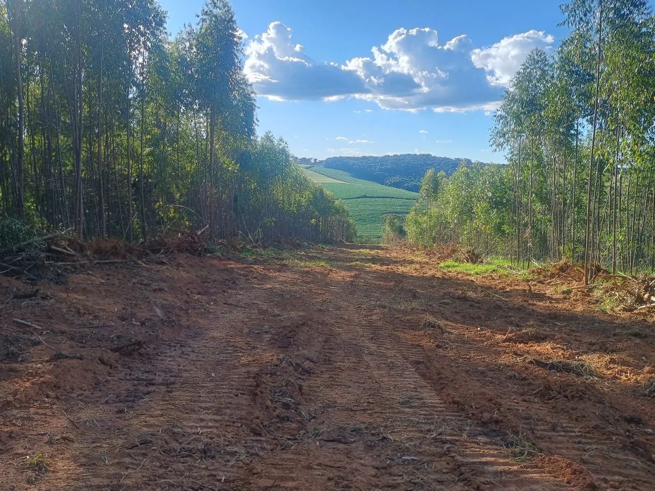 Fazendinhas 20.000m² em Itaguara  - Foto 6