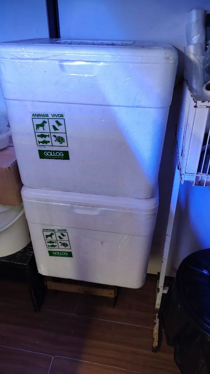 Caixas de isopor seminovas à partir de R$ 30,00 - Foto 4