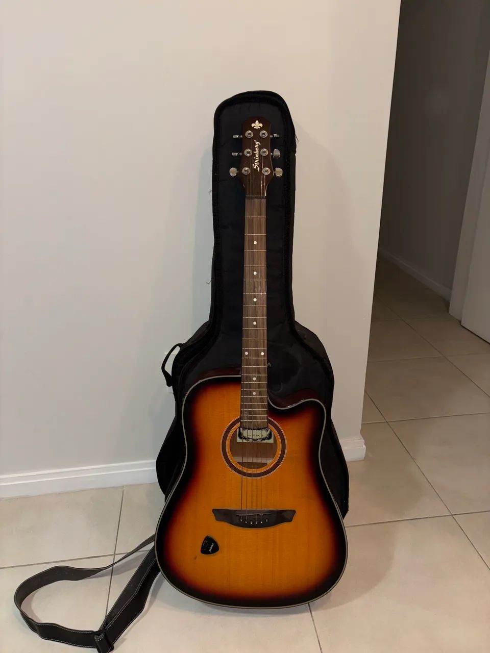 Vendo Violão Strinberg 