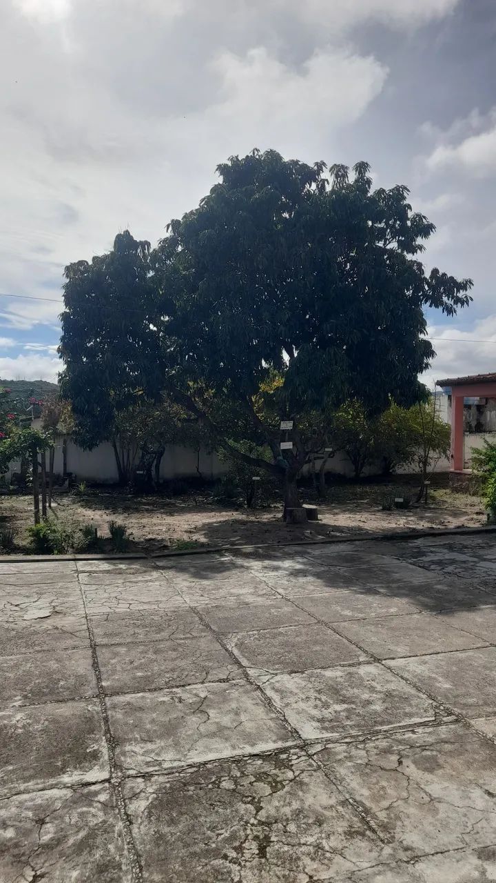 Terreno Jequiezinho 1260m2 - Foto 5