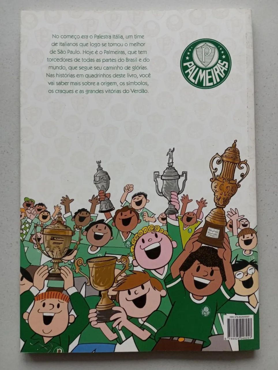 Verdão Campeão do Século em quadrinhos - Foto 3