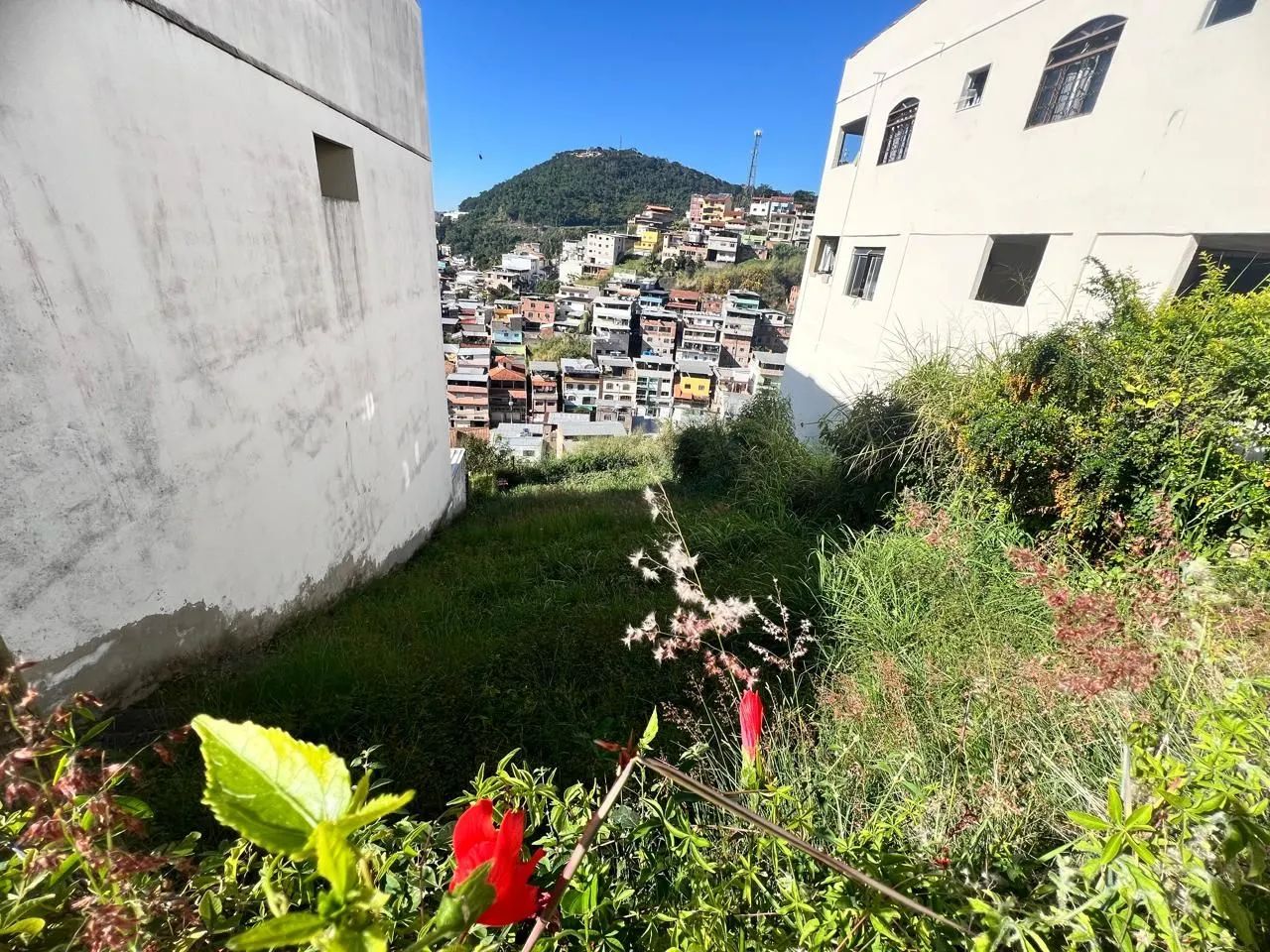 Lote / Terreno - Democrata - Foto 4