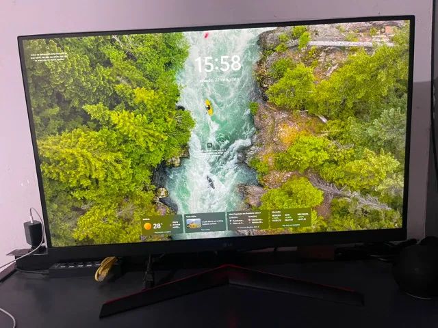 Monitor
