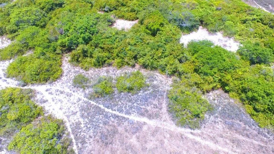 Terreno próximo a Atins  - Foto 2