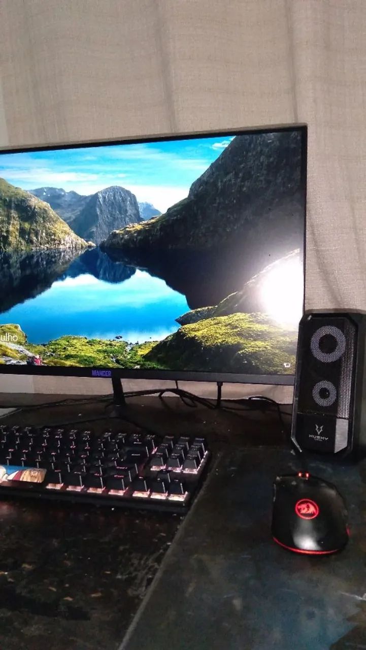 PC gamer