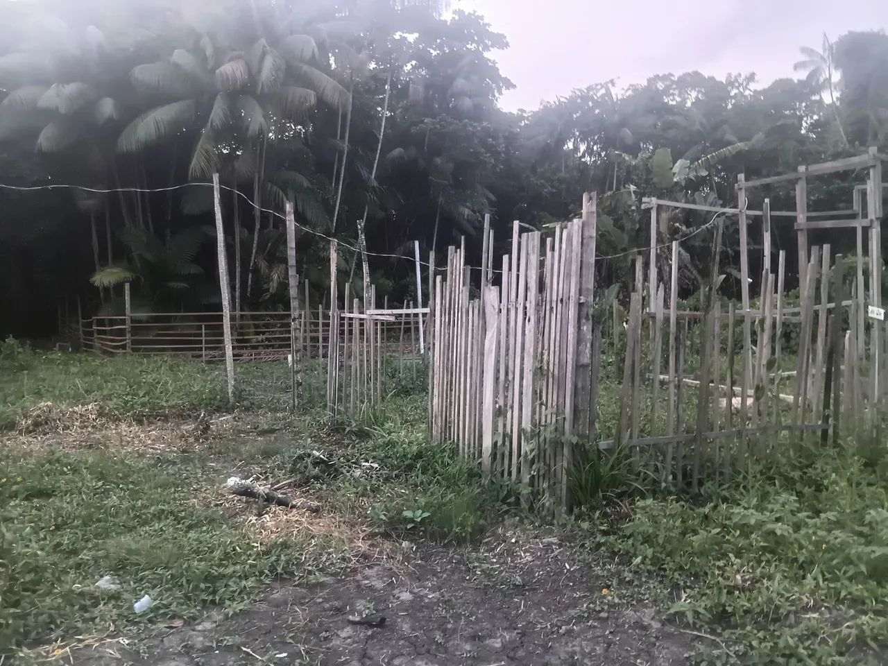 Terreno no Icuí  - Foto 3
