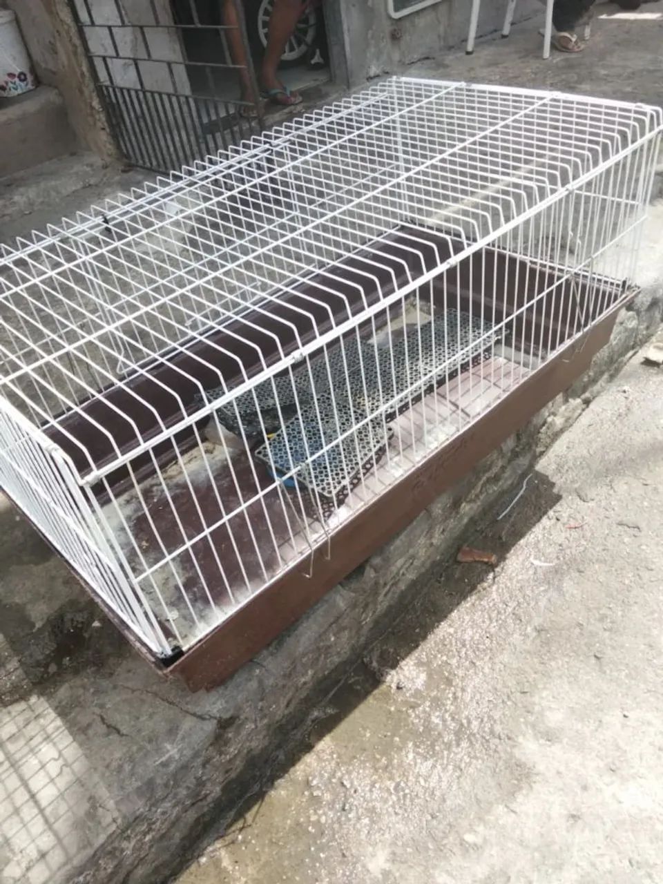 Gaiola para hamister