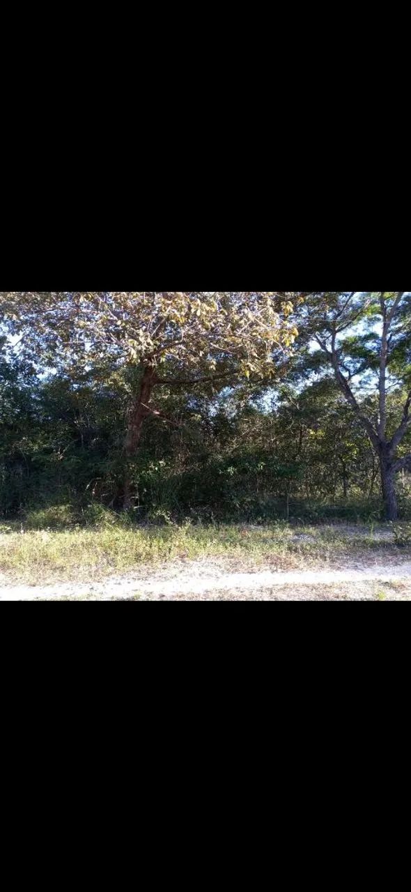 2 Terrenos no povoado 3 irmãos  - Foto 4