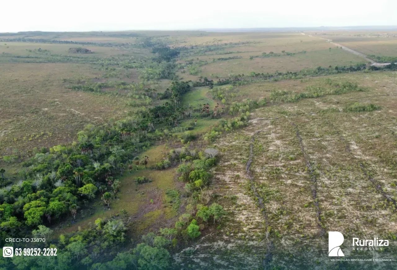 650 ALQUEIRES | 1.750 HA AGRICULTÁVEIS | 1.500 HA ABERTOS - Foto 8