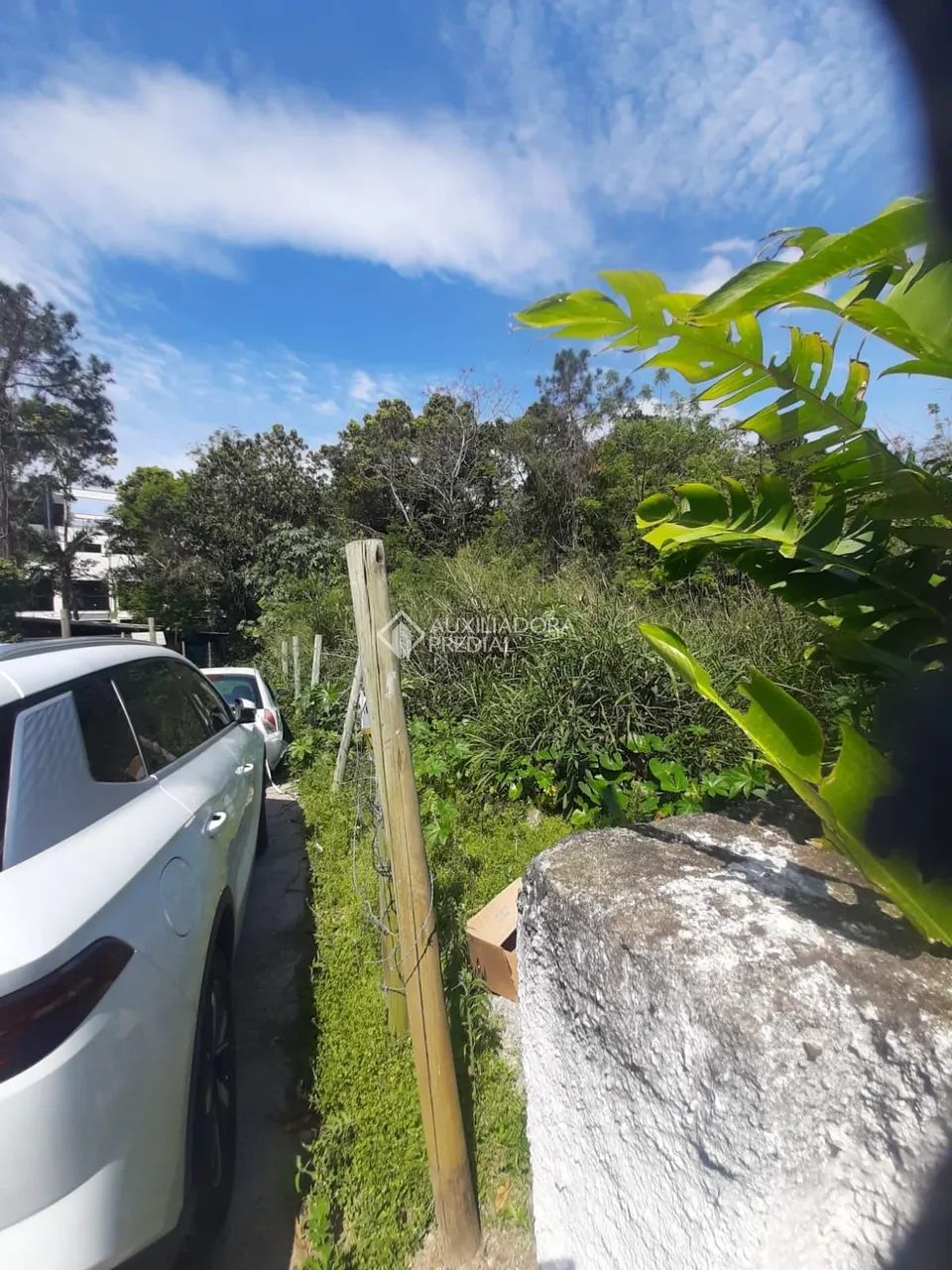 Terreno com 1060m² à venda em Campeche, Florianópolis. - Foto 4