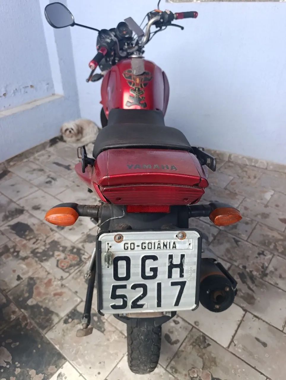 Factor 125c ED, COMPLETA - Foto 3
