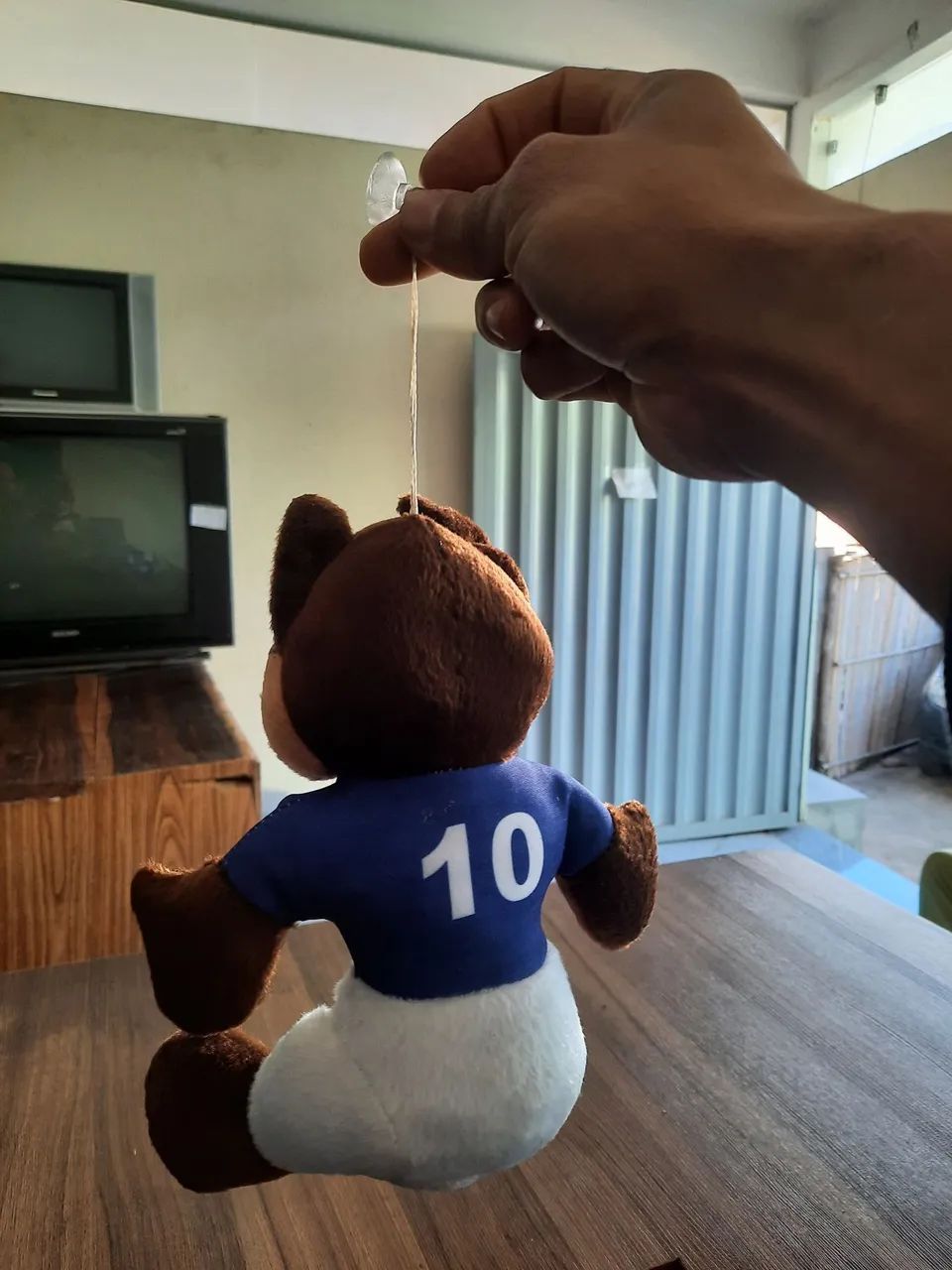 Urso do cruzeiro - Foto 2