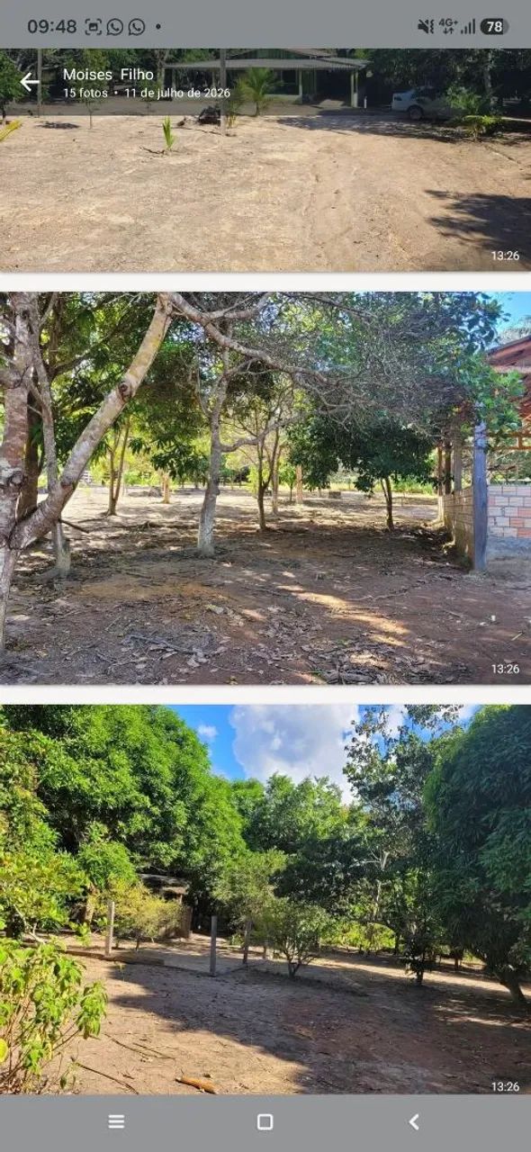 VENDE-SE SÍTIO NA VIC. 1 DO APIAÚ - MUCAJAI  - Foto 3