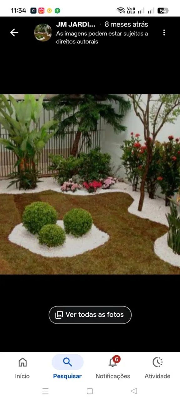 Jardinagem JM - Foto 2