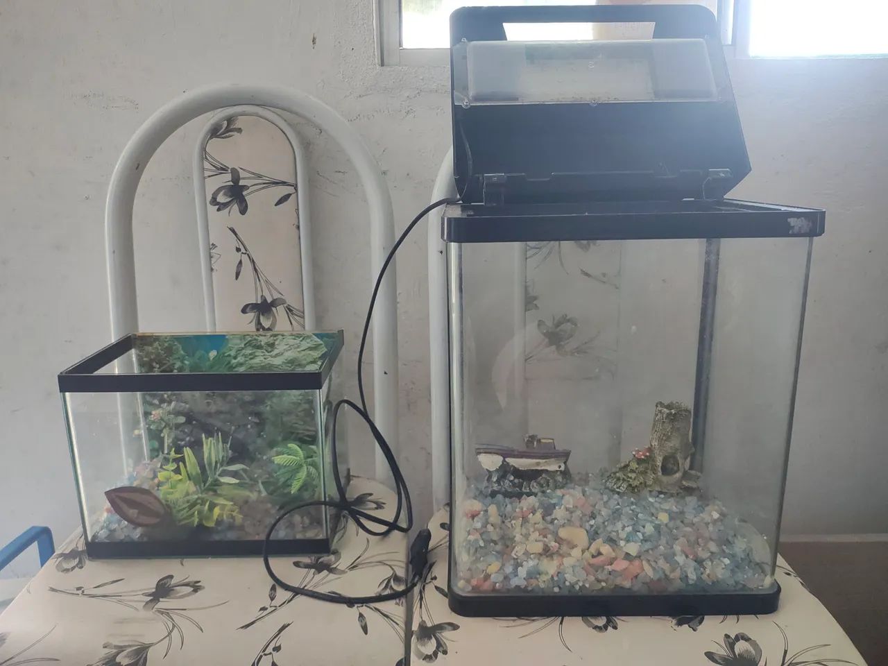 Aquários