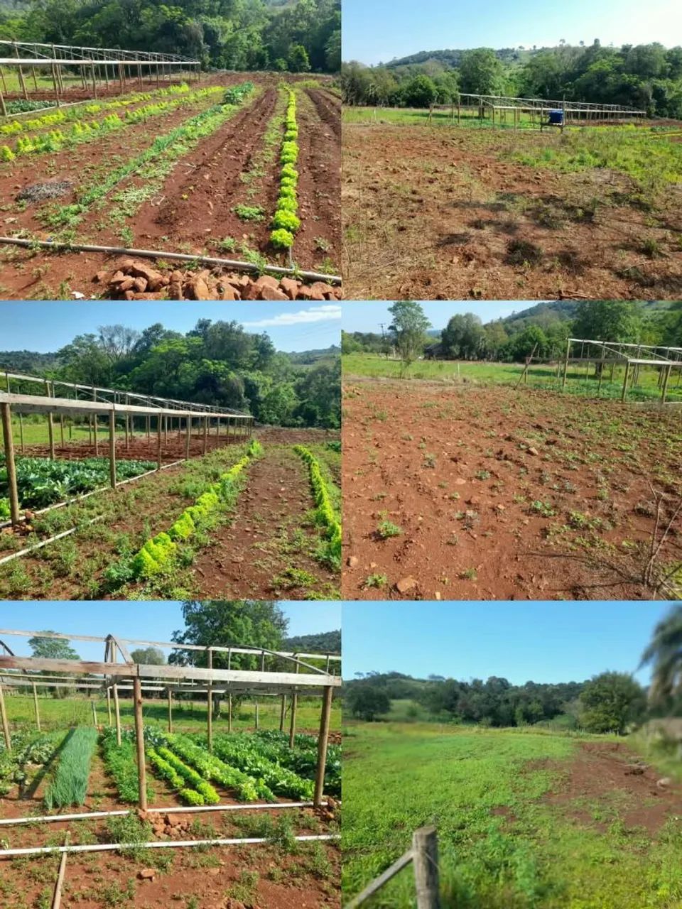 Vendo sitio