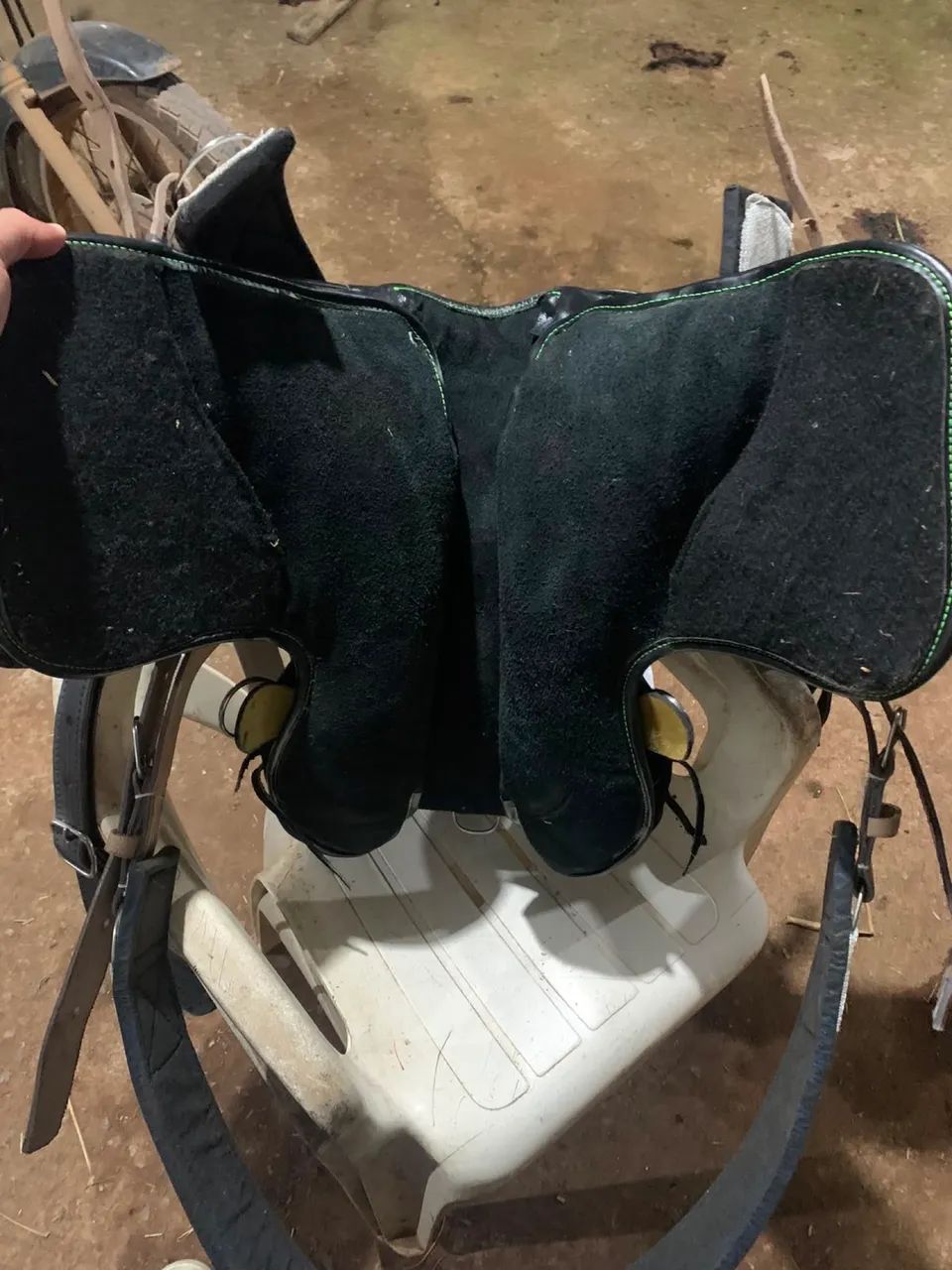 Cela de cavalo - Foto 4