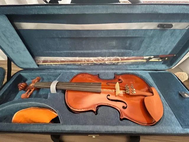 Violino Eagle VE 441 4/4 - Foto 4
