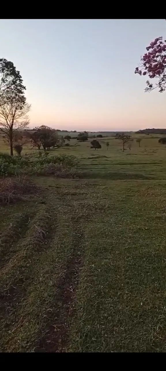 Terreno a venda em colorado  - Foto 2