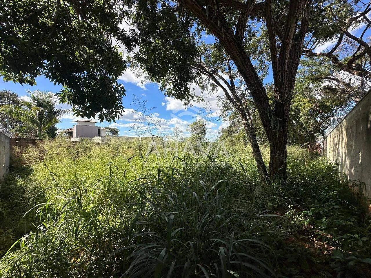 Lote com 1000m² à Venda, Enseada das Garças Pampulha - Foto 5