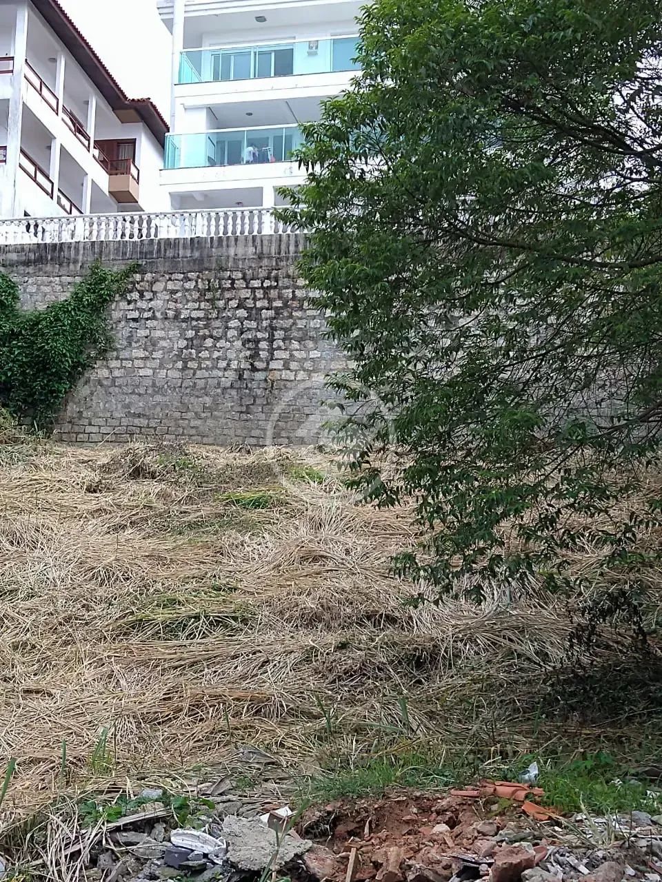 TERRENO - Agronômica - FR-121518 - Foto 3
