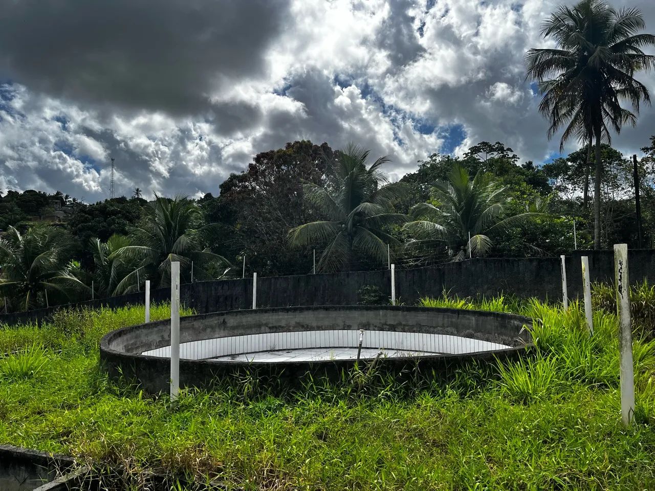 Sítio com nascente em Goiana-PE