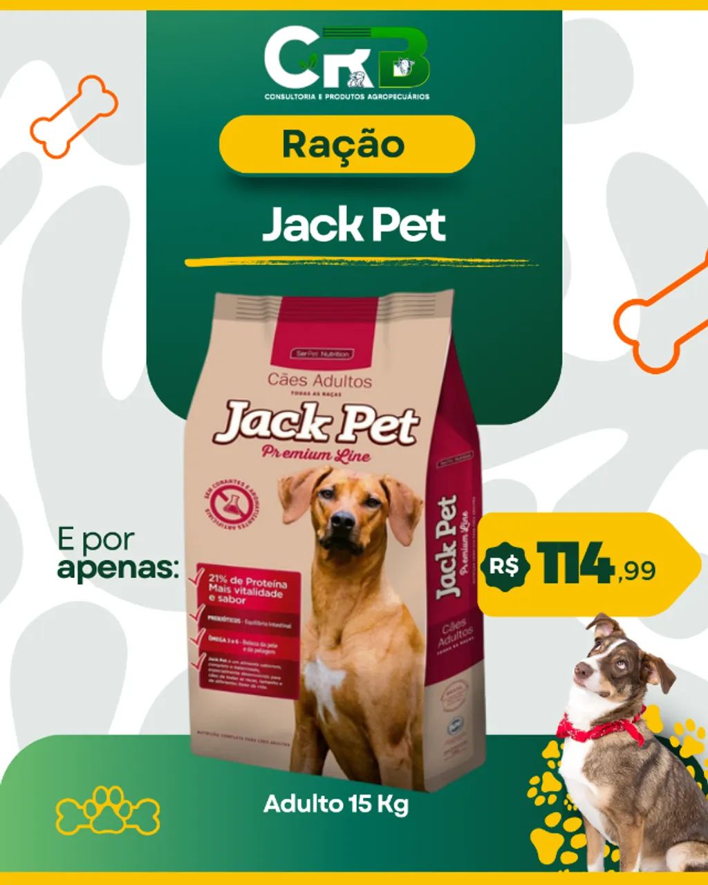Rações PET - Foto 2