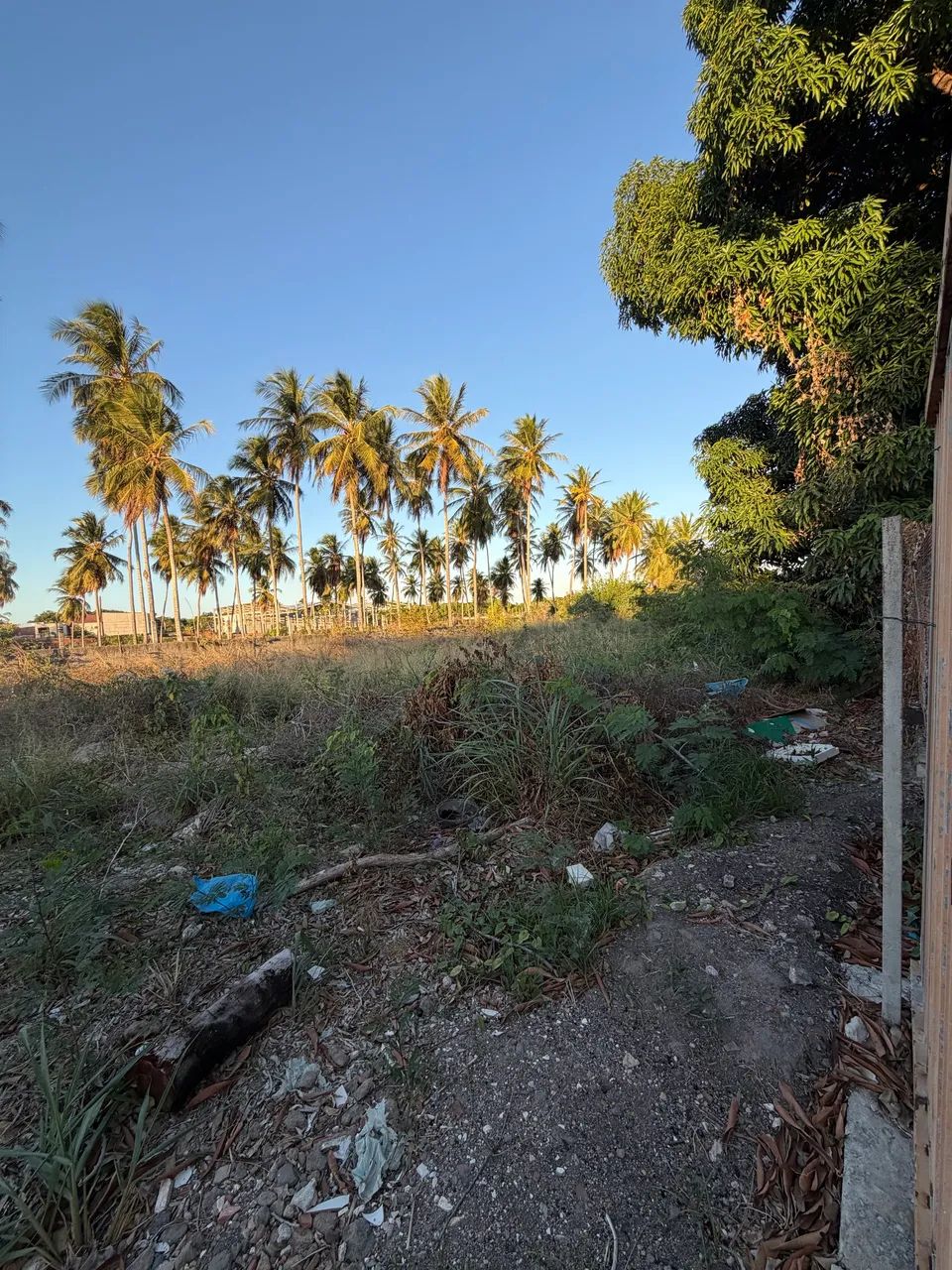 Terreno de esquina 1343 m2 no eusebio  - Foto 5