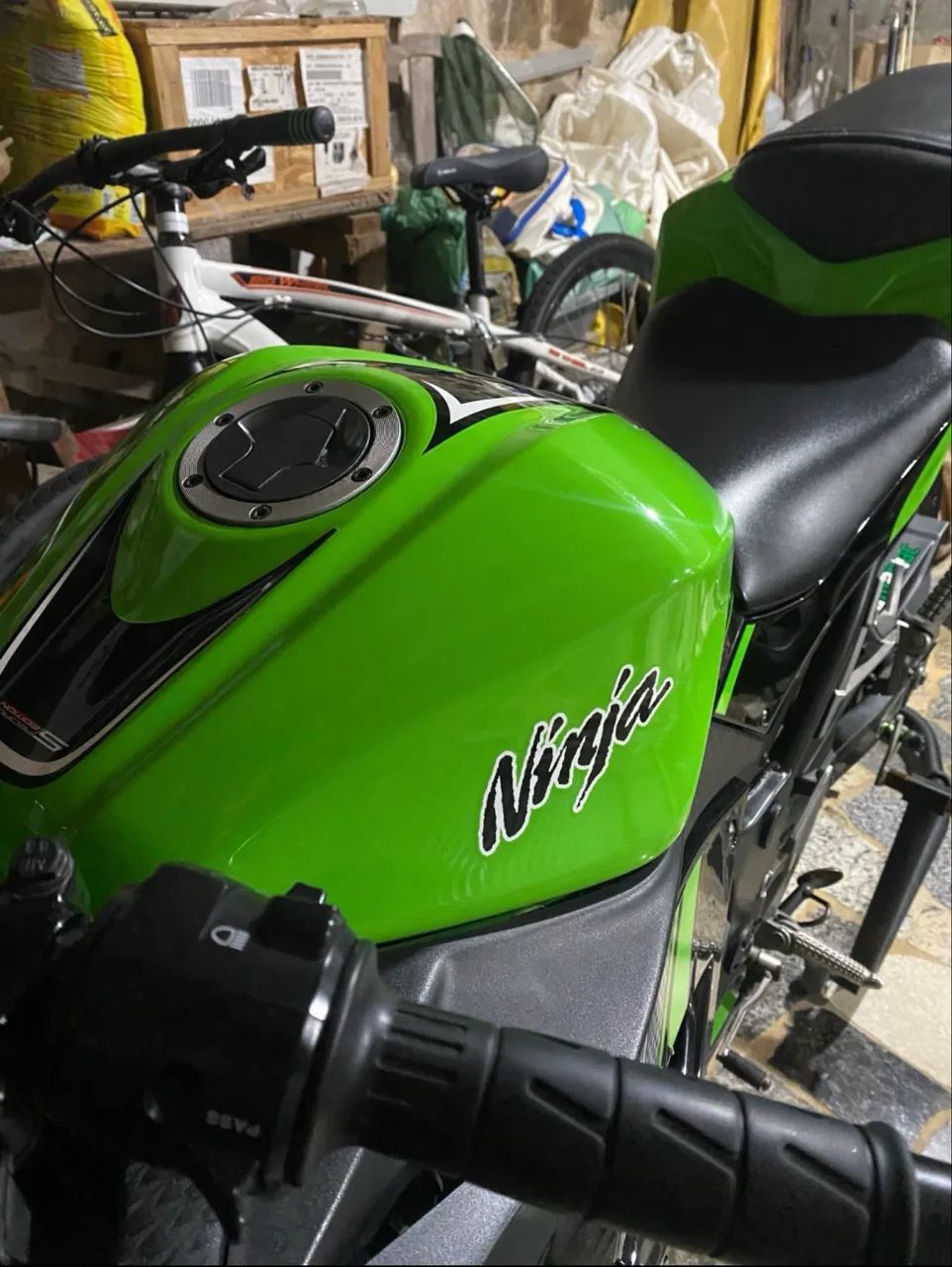 Ninja 300 Special Edition - Foto 3