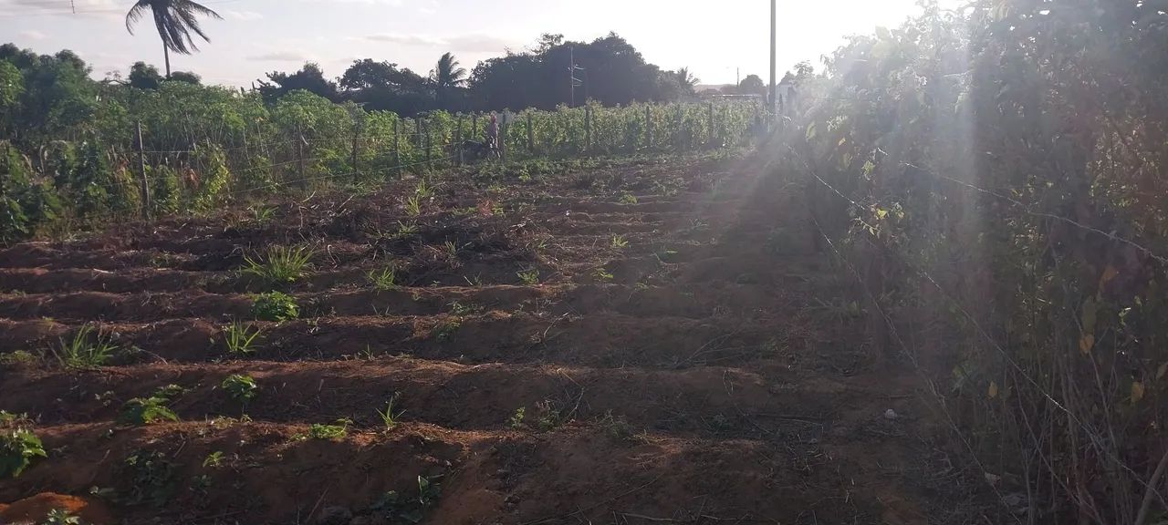 Vende-se lote - Foto 4