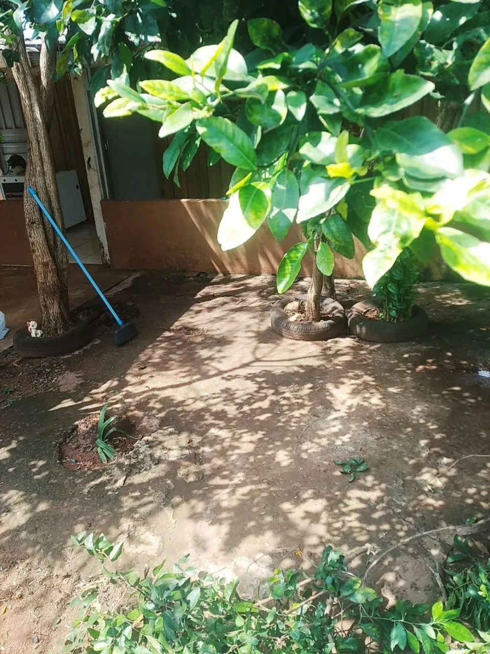 Limpeza de terreno  - Foto 3