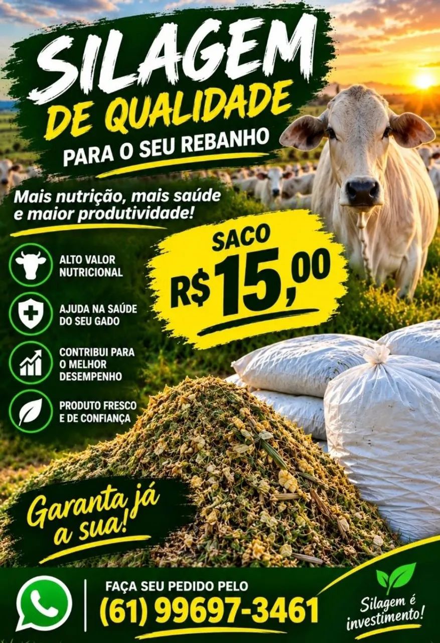 Silagem 