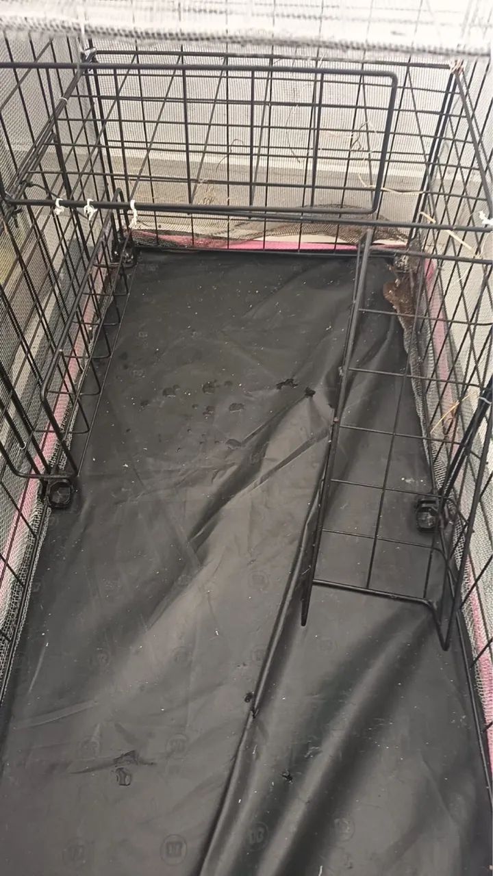 Cercado para roedores - Foto 5