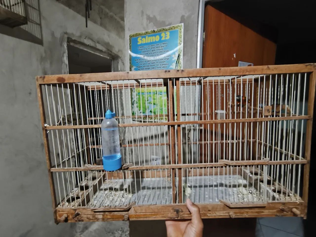 Voador de pássaro com coxo e Bebedor - Foto 2