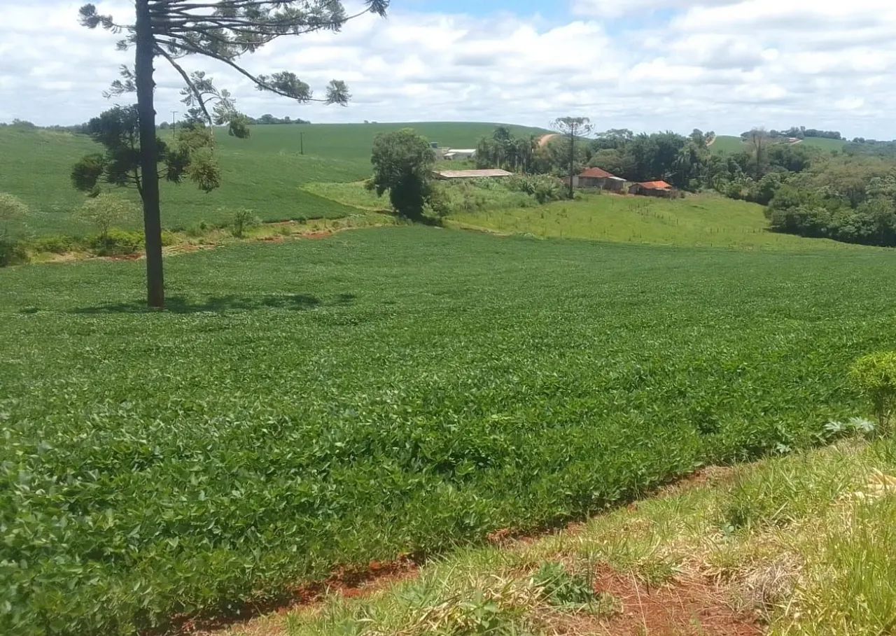 VENDE-SE SÍTIO EM TAPIRAÍ  - Foto 6