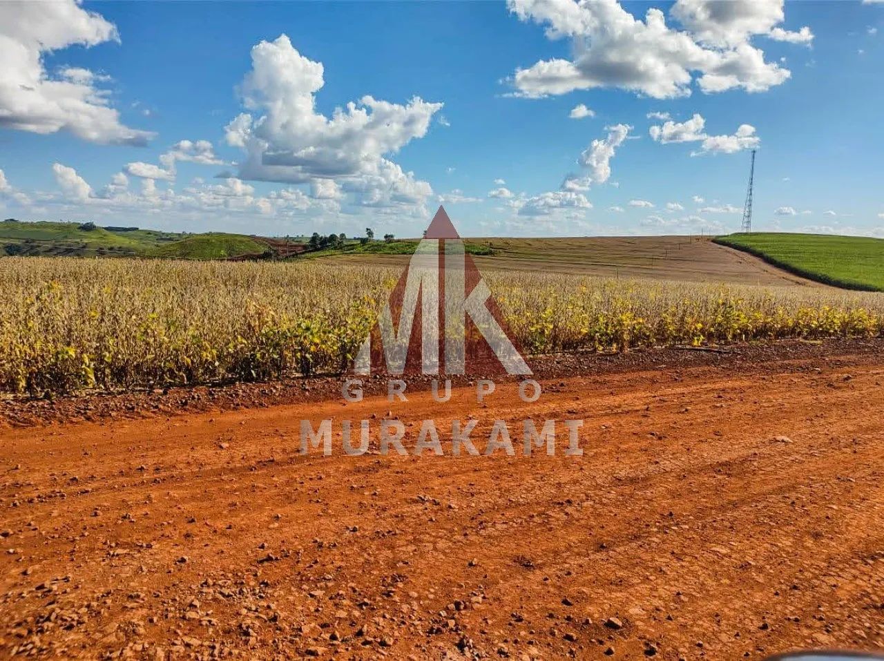 FAZENDA - BOM SUCESSO - PARANÁ - Foto 5