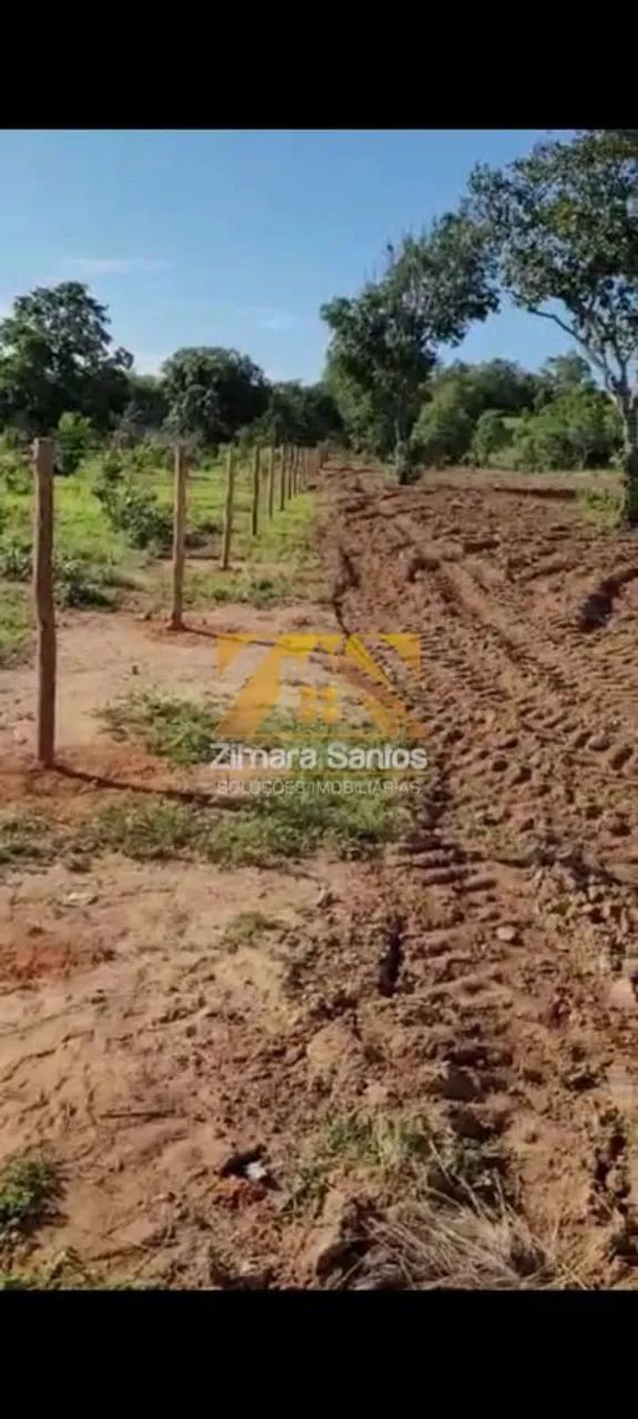 Fazenda com 1 Quarto à Venda, Setor Central - Cristalândia - Foto 3