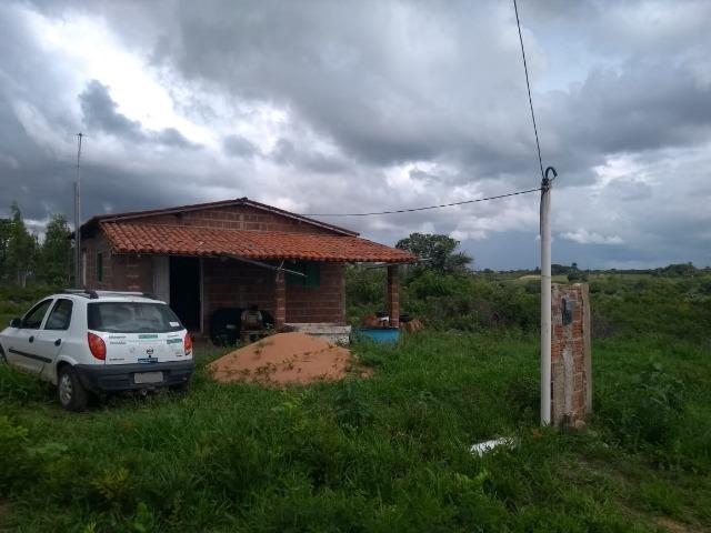 Granja BR 101 1 Hectare Arisco Paú Casa Sede Energia Elétrica Rio Maxaranguape 1km da BR - Foto 11