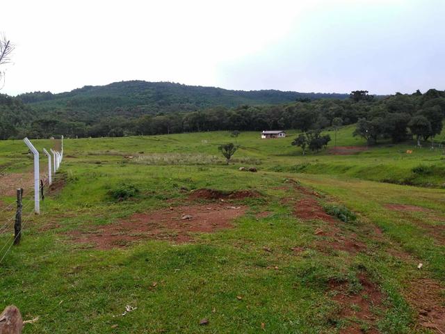Fazenda de 93 Alqueires .Guabiroba - Guarapuava PR .R$ 30 mil por Alqueire