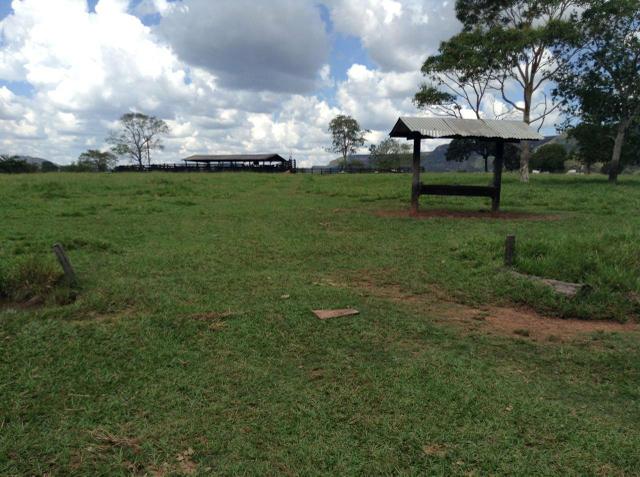 Fazenda 612 hectares em Pedra Preta - Foto 5