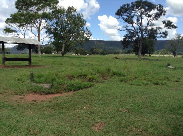 Fazenda 612 hectares em Pedra Preta - Foto 4