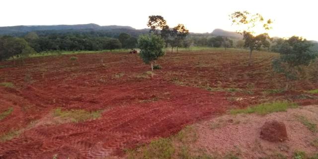 Fazenda em Guiratinga 680Hectares - Foto 15