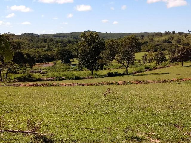 1586 Hectares, Municipio de Camapuã MS - Foto 11